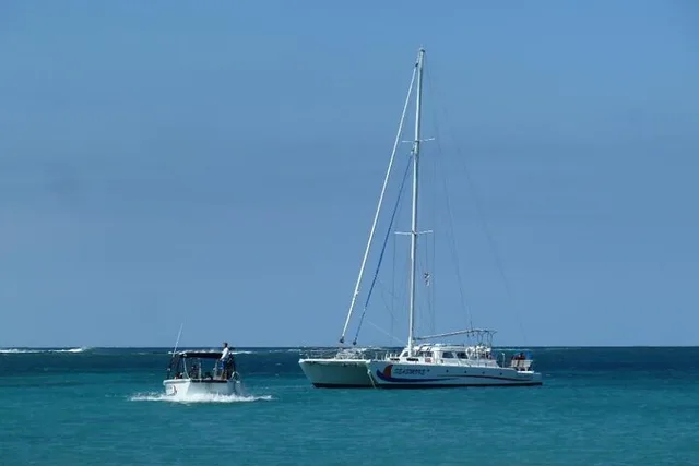 Waikoloa Whale Watching Cruise - Image 6