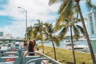 Miami Speed Boat and Double Decker Tour thumbnail 6