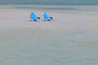 Cayo Costa Shelling Adventure thumbnail 5