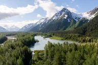 Anchorage Wildlife Adventure to Whittier thumbnail 1