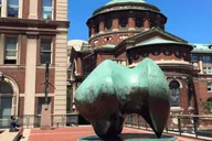 New York Columbia University Guided Campus Tour thumbnail 6