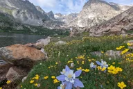 Denver Rocky Mountain Wildlife Tour thumbnail 1
