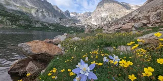 Denver Rocky Mountain Wildlife Tour