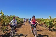 Santa Rosa Bike & Wine Tour thumbnail 2