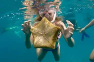 Honolulu Swim, Snorkel & Sail 2 hr thumbnail 5