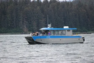 Juneau Whale Watching Tour