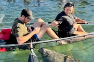 Crystal River Clear Kayak Manatee Tour 2.5 hr thumbnail 1