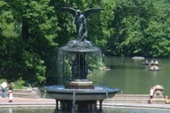 New York Central Park Walking Tour 2 hr thumbnail 1