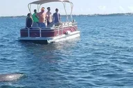 Key Largo Boat Eco Tour thumbnail 1