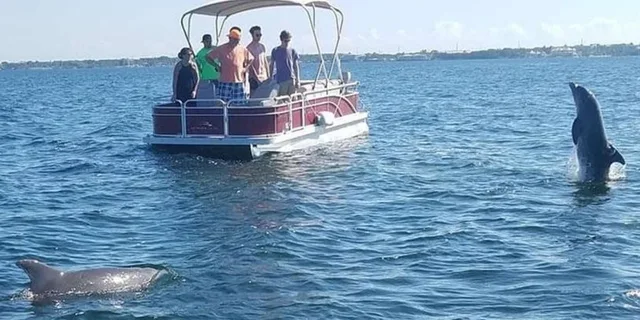 Key Largo Boat Eco Tour - Image 1