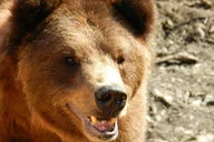 Sitka Scenic Tour thumbnail 5