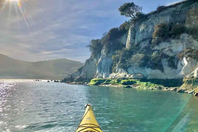 Tomales Bay Midweek Kayak Tour - Image 3