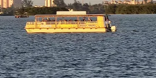 Cocoa Beach Dolphin and Wildlife Tour