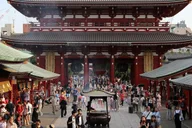 Tokyo Day Tour Shibuya, Asakusa, Meiji Shrine thumbnail 1