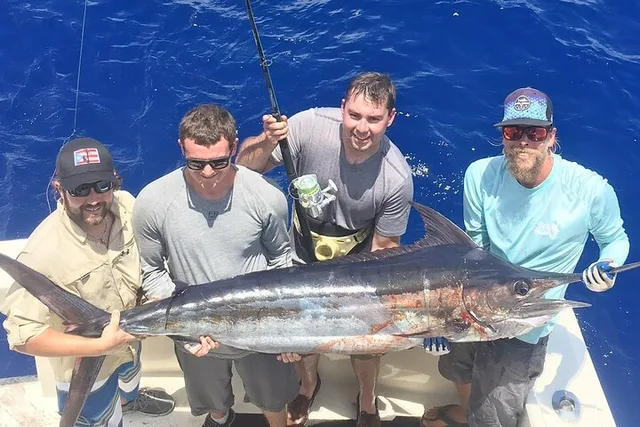 Key West Deep Sea Fishing Adventure 4 hr - Image 6