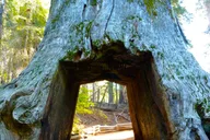 Las Vegas to San Francisco: Death Valley & Yosemite 4-Day Tour thumbnail 3