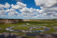 Yellowstone National Park Safari Tour thumbnail 6