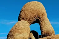 Joshua Tree National Park Full Day Hike thumbnail 5