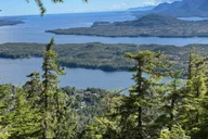 Ketchikan Rainforest Tour thumbnail 4