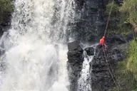 Hilo Waterfall Rappelling at Kulaniapia Falls thumbnail 6