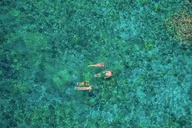 Kona Coast Snorkel Tour in Kealakekua Bay thumbnail 5