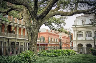 New Orleans Private Custom City Tour