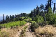 Mount Lemmon Self-Guided Audio Driving Tour thumbnail 5