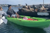 Redondo Beach Kayak and Snorkel with Sea Lions 3 hr thumbnail 4