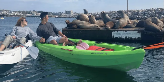 Redondo Beach Kayak and Snorkel with Sea Lions 3 hr - Image 4