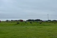 Anchorage Musk Ox Farm Tour & Scenic Drive thumbnail 5