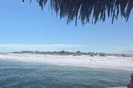 Panama City Beach Sunset Dolphin Cruise thumbnail 6