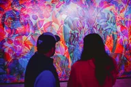 San Antonio Immersive Art Experience thumbnail 5