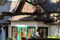 San Francisco Monterey, Carmel and Big Sur Day Trip thumbnail 2