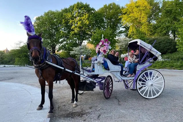 NYC Central Park Horse Carriage Ride - Image 5