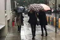 New York City Vintage Shopping Tour thumbnail 3