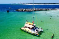 Panama City Beach Snorkel and Dolphin Tour thumbnail 4