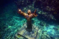 Islamorada Alligator Reef and Sandbar Private Tour thumbnail 3