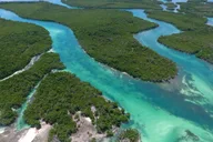Key West Eco Sandbar Snorkeling Tour thumbnail 1