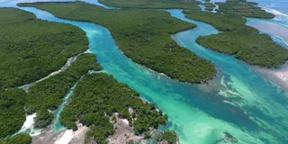 Key West Eco Sandbar Snorkeling Tour