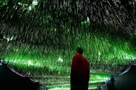 Houston Immersive Museum Tour thumbnail 2