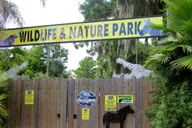 Orlando Airboat Ride and Wildlife Park Tour thumbnail 4