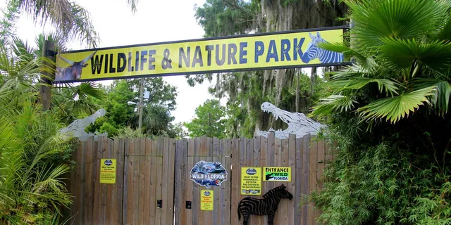 Orlando Airboat Ride and Wildlife Park Tour - Image 4