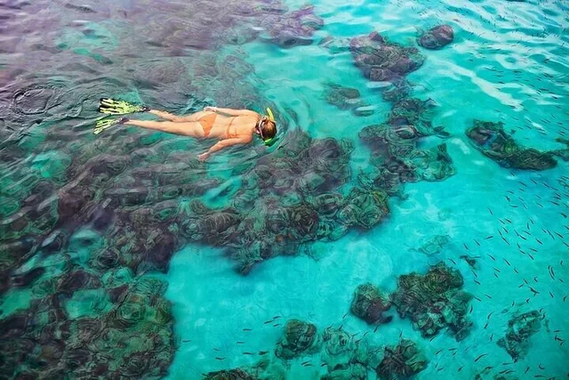 Kealakekua Bay Reef Snorkeling Adventure - Image 3