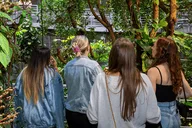 San Francisco NightLife Plus at California Academy of Sciences thumbnail 4