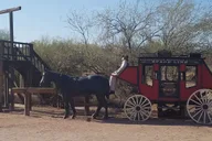 Phoenix Apache Trail Day Tour thumbnail 4