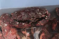 San Francisco Crab & Cook Under the Golden Gate Bridge thumbnail 1