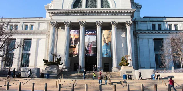 Washington D.C. Natural History Museum Guided Tour - Image 3