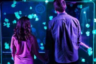 San Antonio SEA LIFE Aquarium and LEGOLAND Discovery Center thumbnail 2