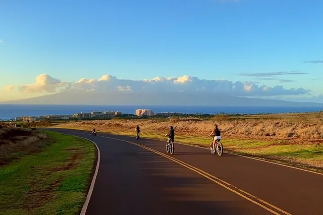 Maui Self-Guided Electric Bike Tour 2 hr - Image 3