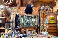 Hendersonville Gem Mining and Goat Farm Tour thumbnail 6
